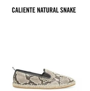 Steve Madden Caliente Natural Snake Espadrilles Snakeskin Print